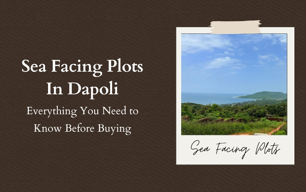 Sea Facing Plots In Dapoli: Everything You Need to Know Before Buying