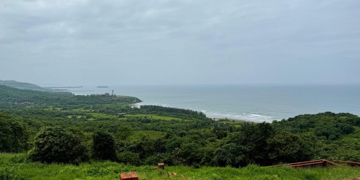 Sea Side Plots in Dapoli